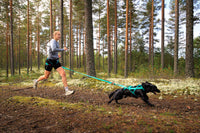 Non-Stop Dogwear Freemotion Harness 5.0